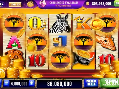 Live Sports Betting Interface